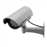 Chollo cámara vigilancia simulada