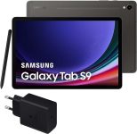 Samsung Galaxy Tab S9 256 GB Tablet